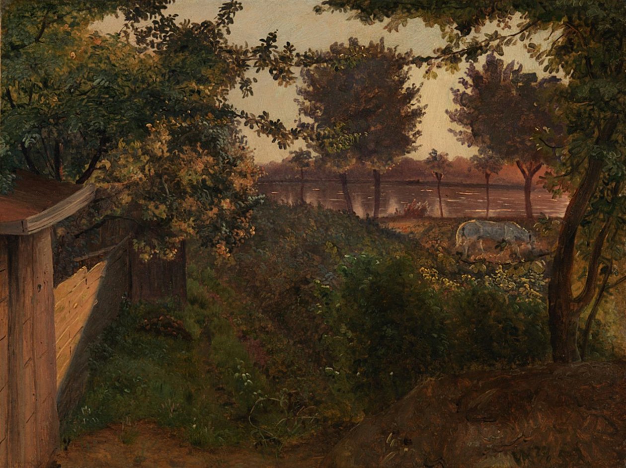Derrière le jardin de l