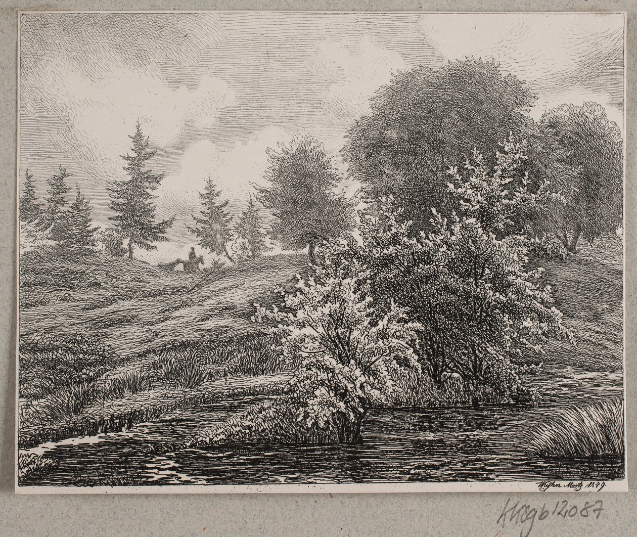Collines près d