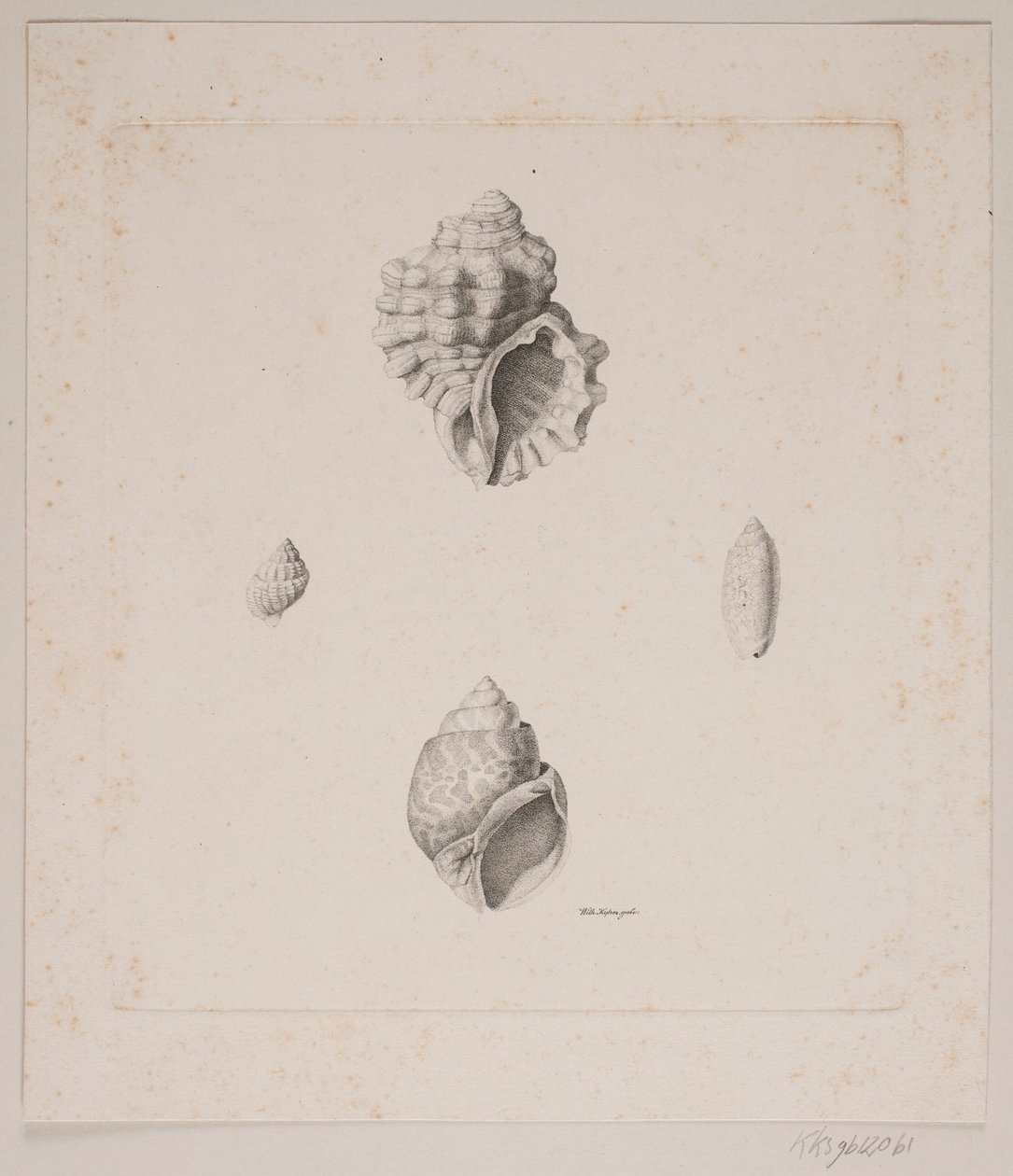 Quatre coquillages - Vilhelm Kyhn
