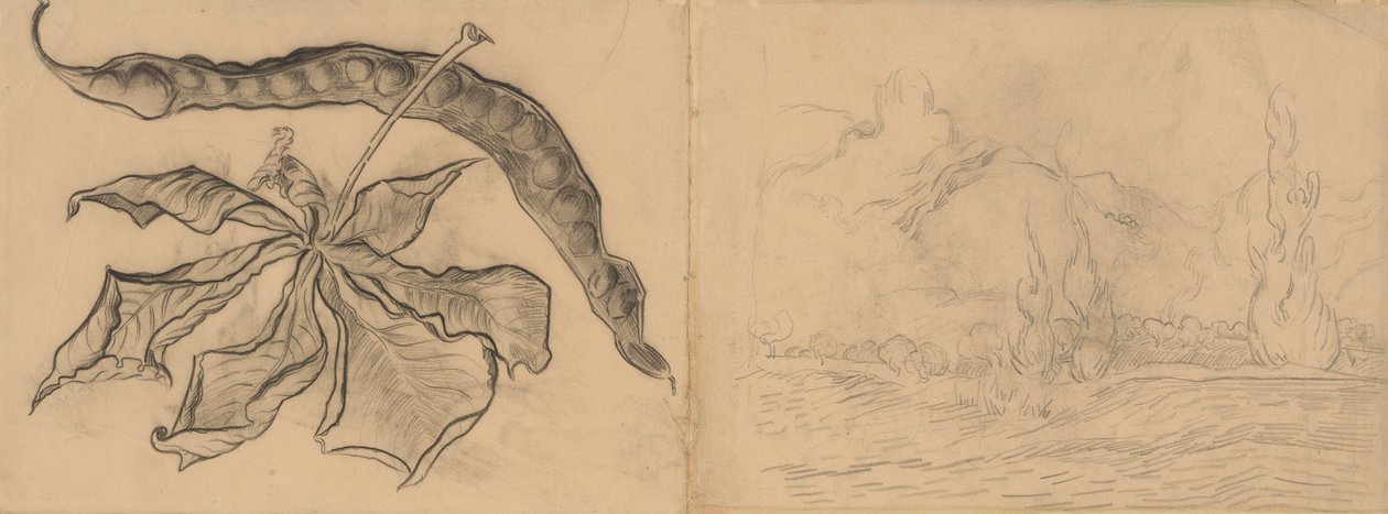 Feuille de châtaignier avec paysage de cosses et de cyprès - Vincent van Gogh