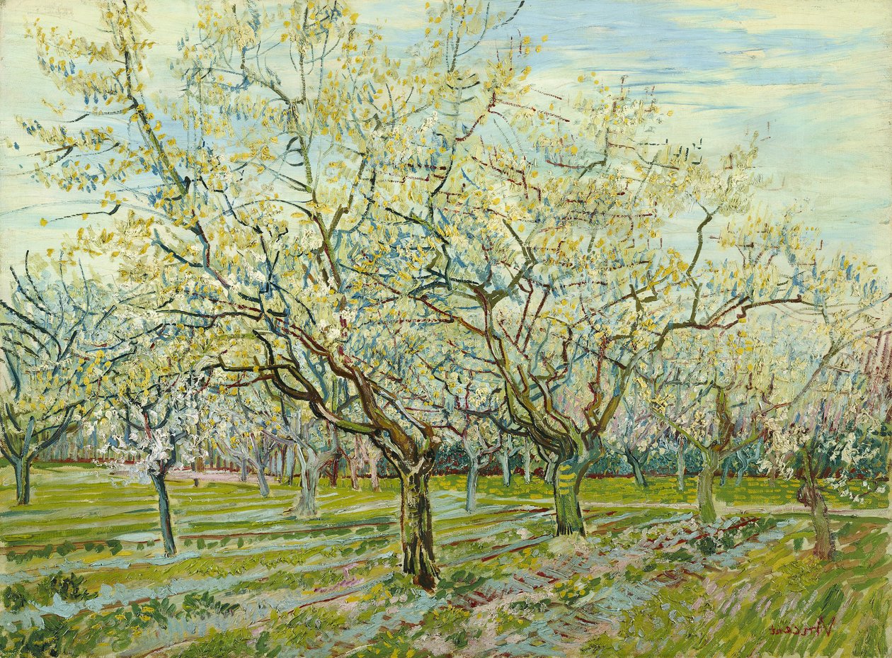 Le verger blanc - Vincent van Gogh
