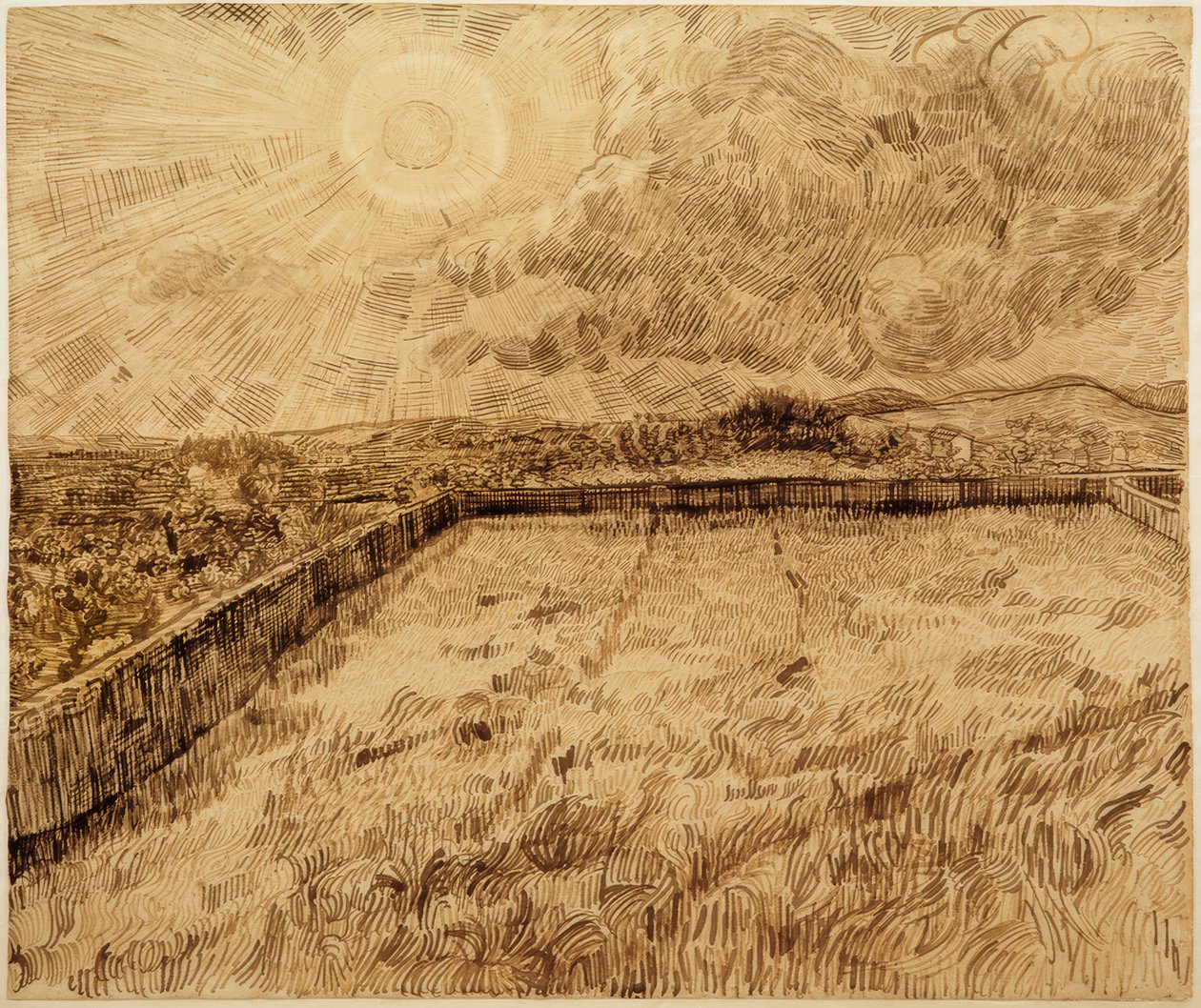 Champs et oliviers - Vincent van Gogh