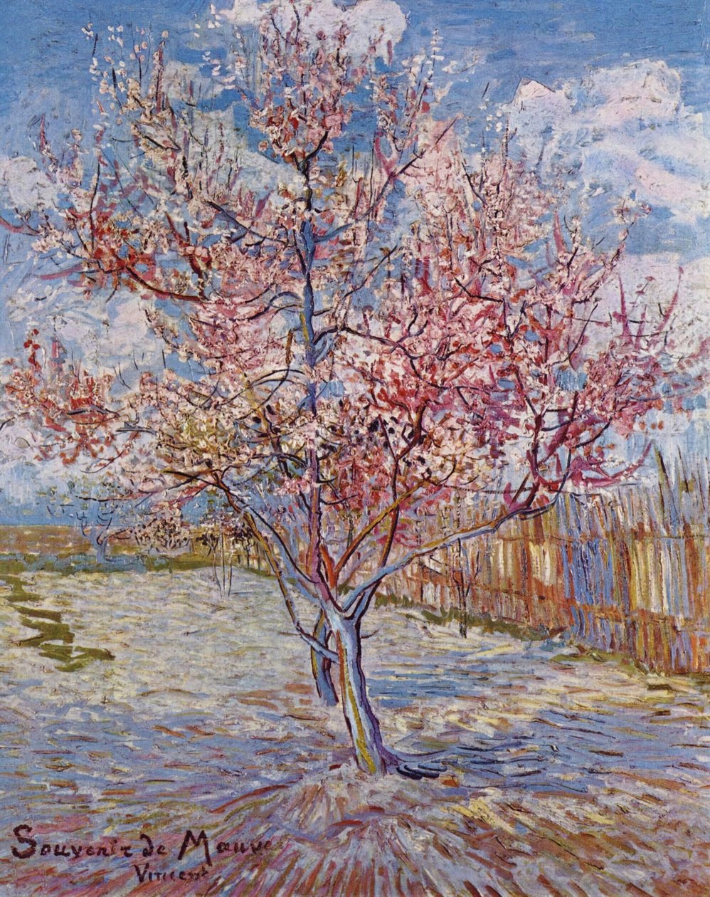 Parcelle d