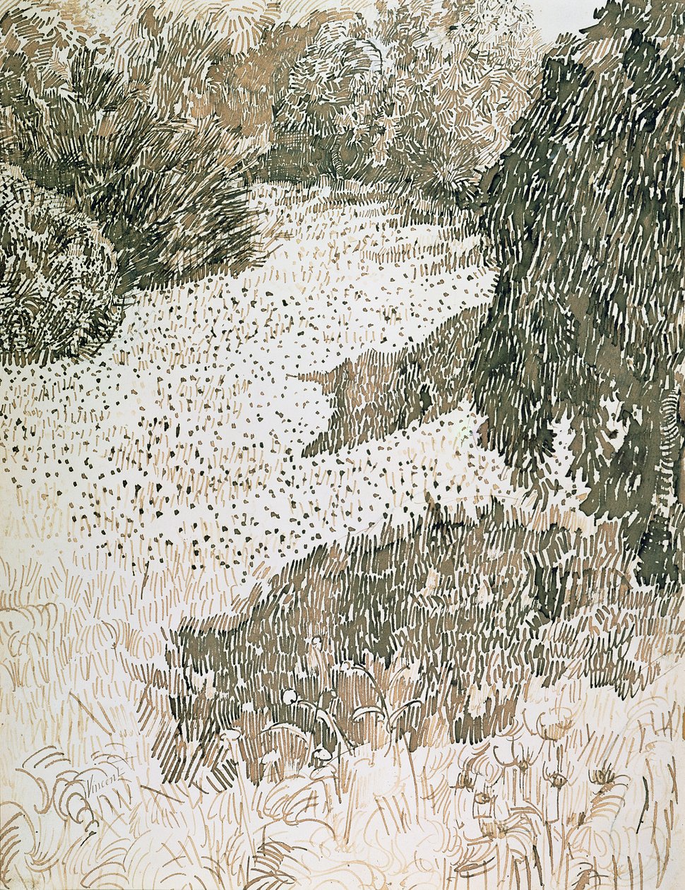 Le coin du parc, 1888 - Vincent van Gogh