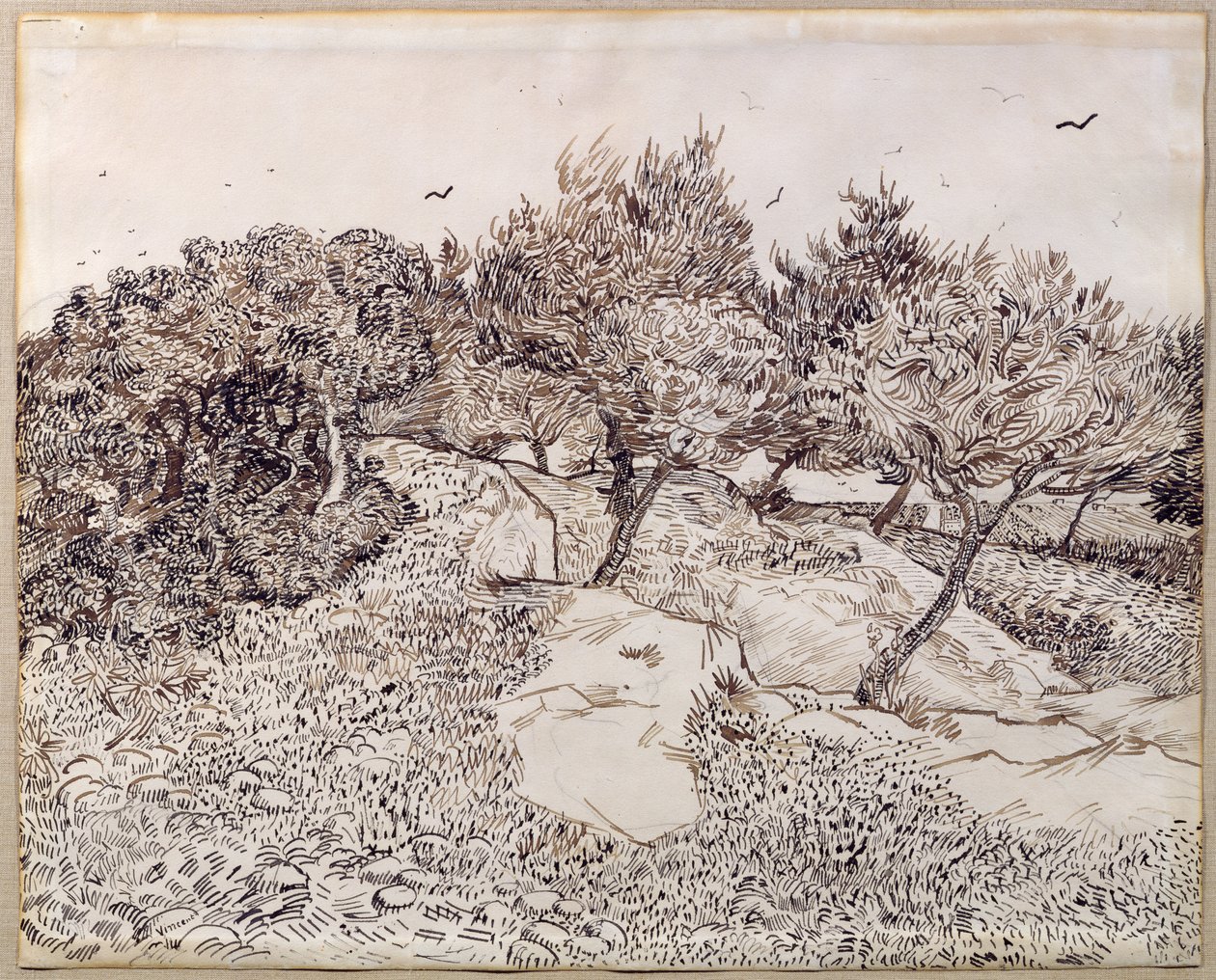 Les Oliviers - Vincent van Gogh