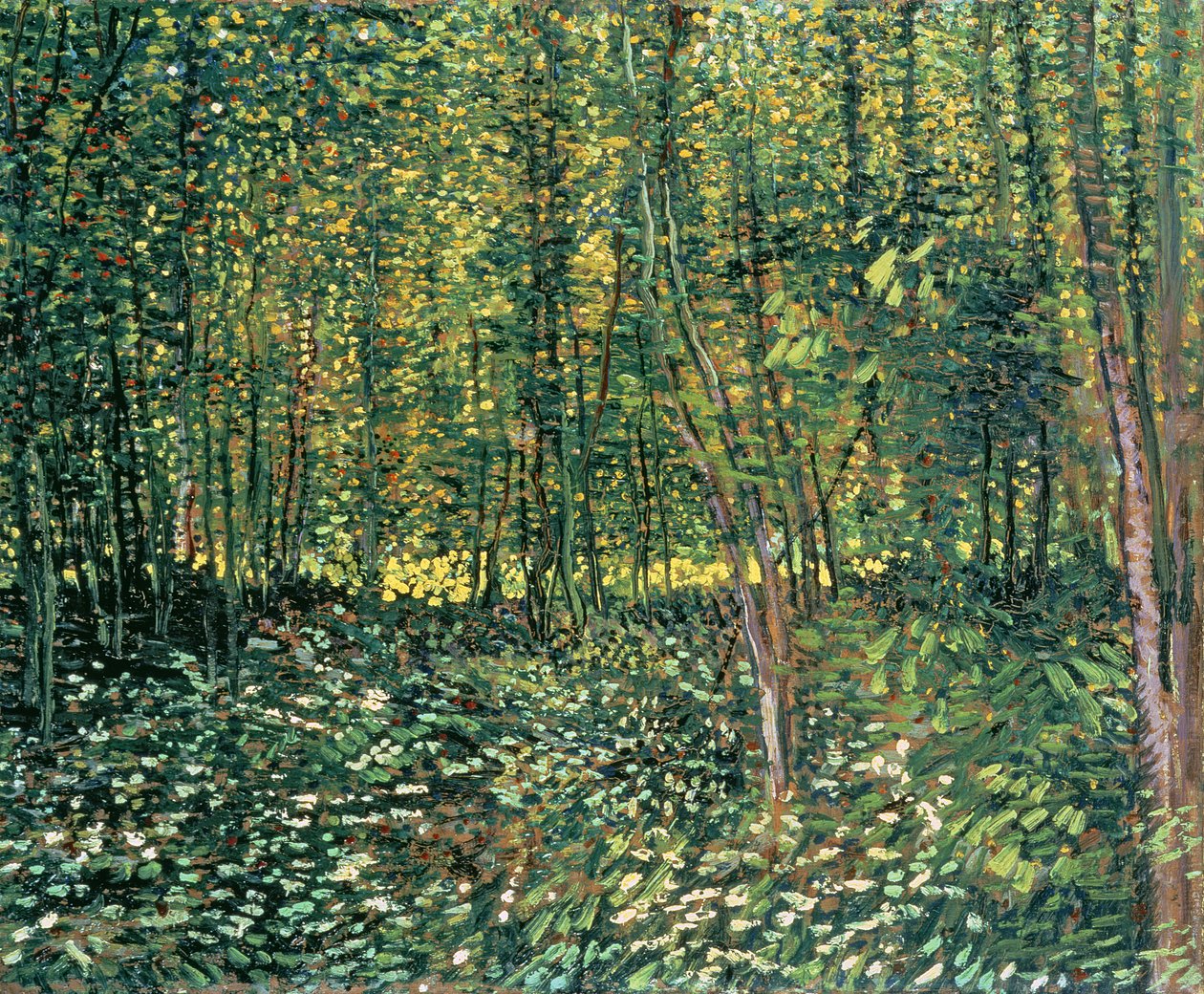 Arbres et sous-bois, 1887 - Vincent van Gogh