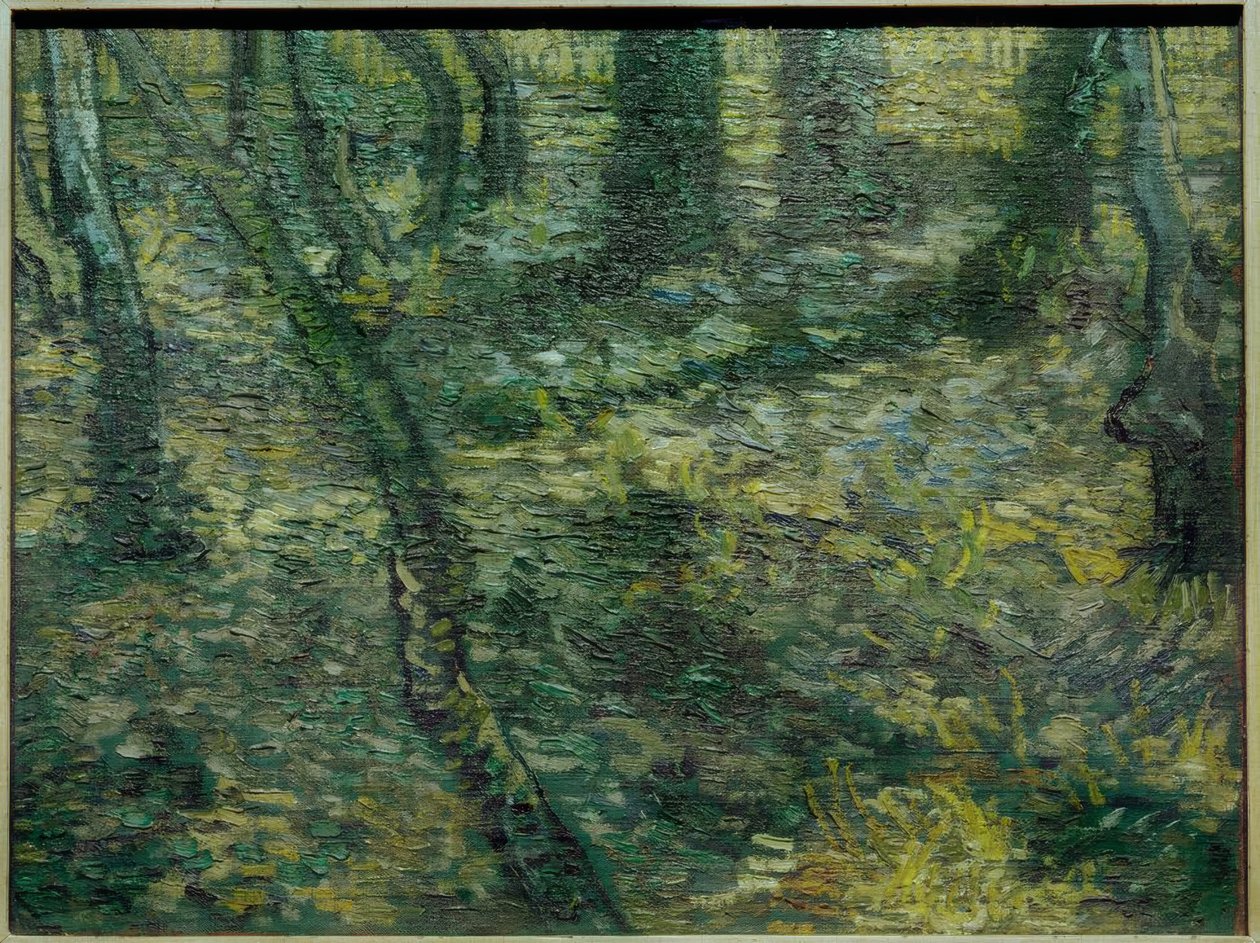 Sous-bois avec lierre - Vincent van Gogh