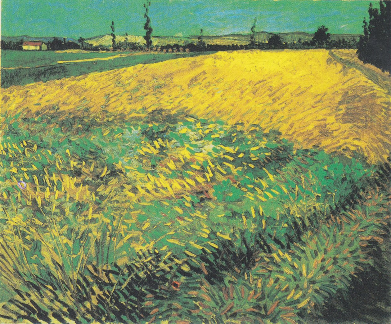 Champ de blé avec les collines des Alpilles en arrière-plan - Vincent van Gogh
