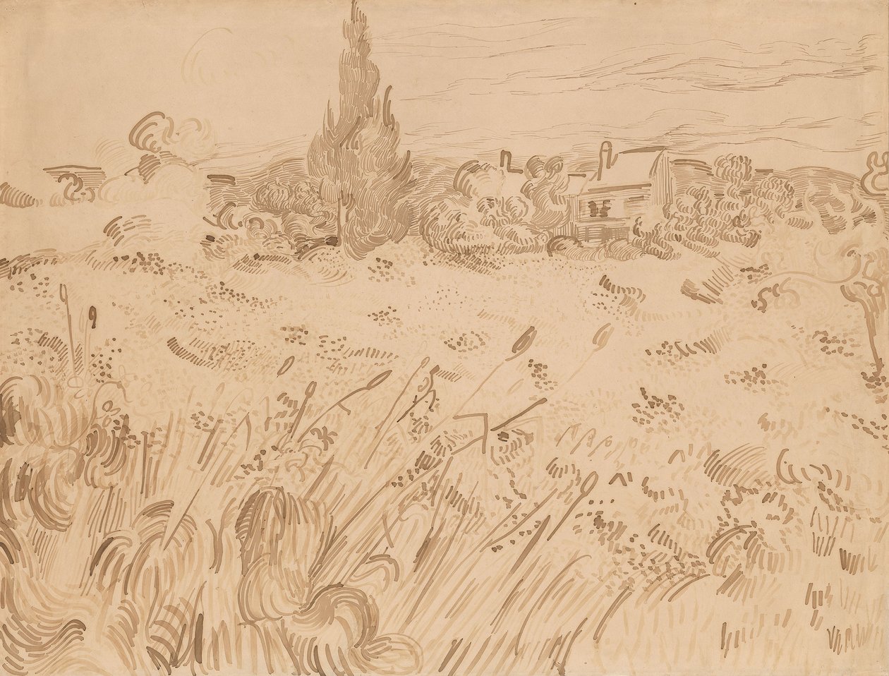 Champ de blé, Saint-Rémy de Provence - Vincent van Gogh