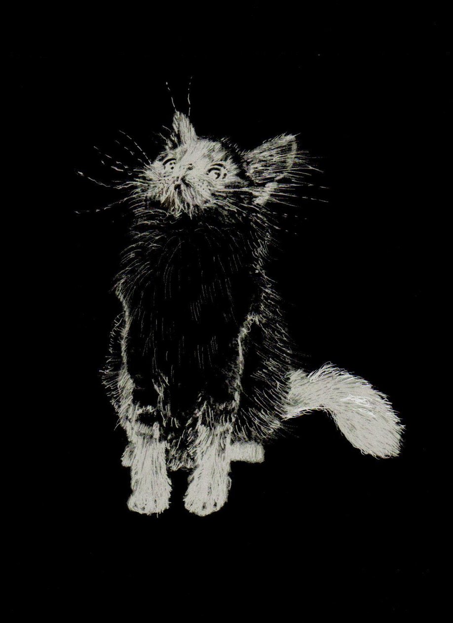 Bébé Le Bone, 2002 - Vincent Alexander Booth