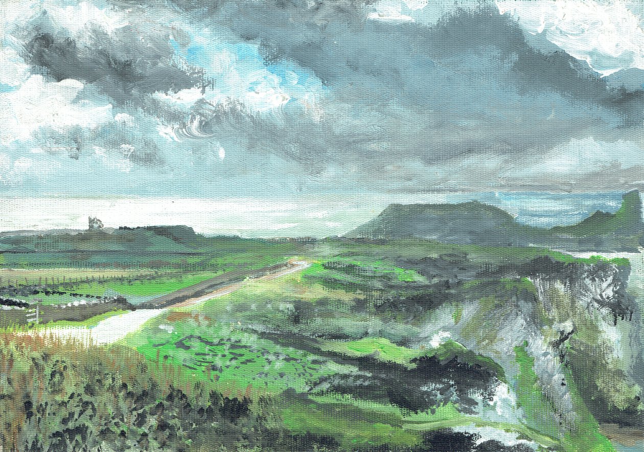 Gower Point - Vincent Alexander Booth