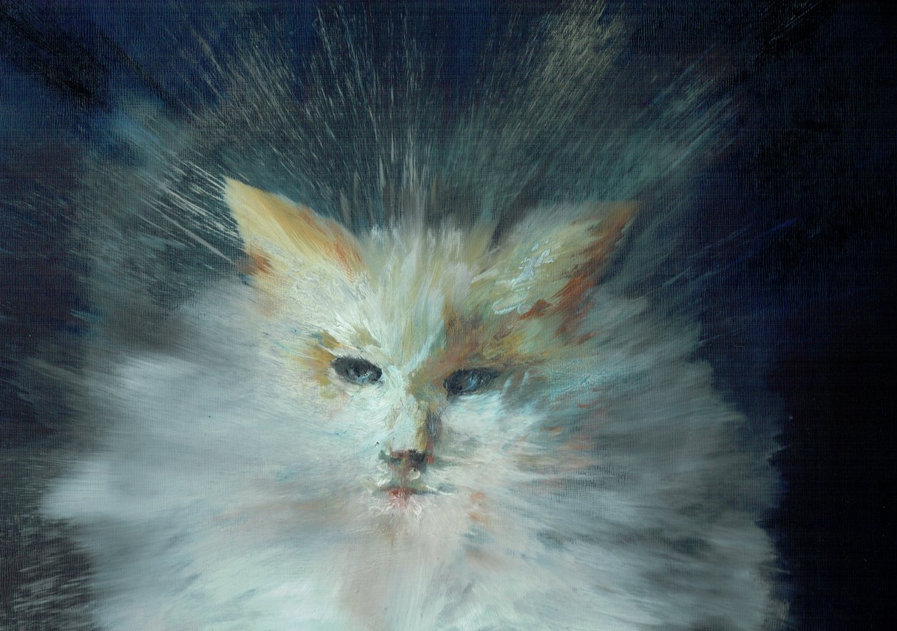 Monty fluffball, 2015 - Vincent Alexander Booth
