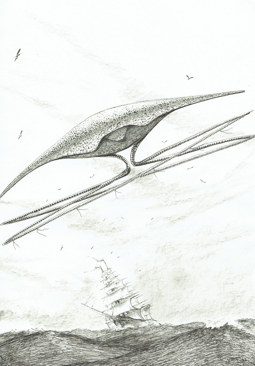 Créateurs de tempêtes Foxe Basin, 2022 - Vincent Alexander Booth