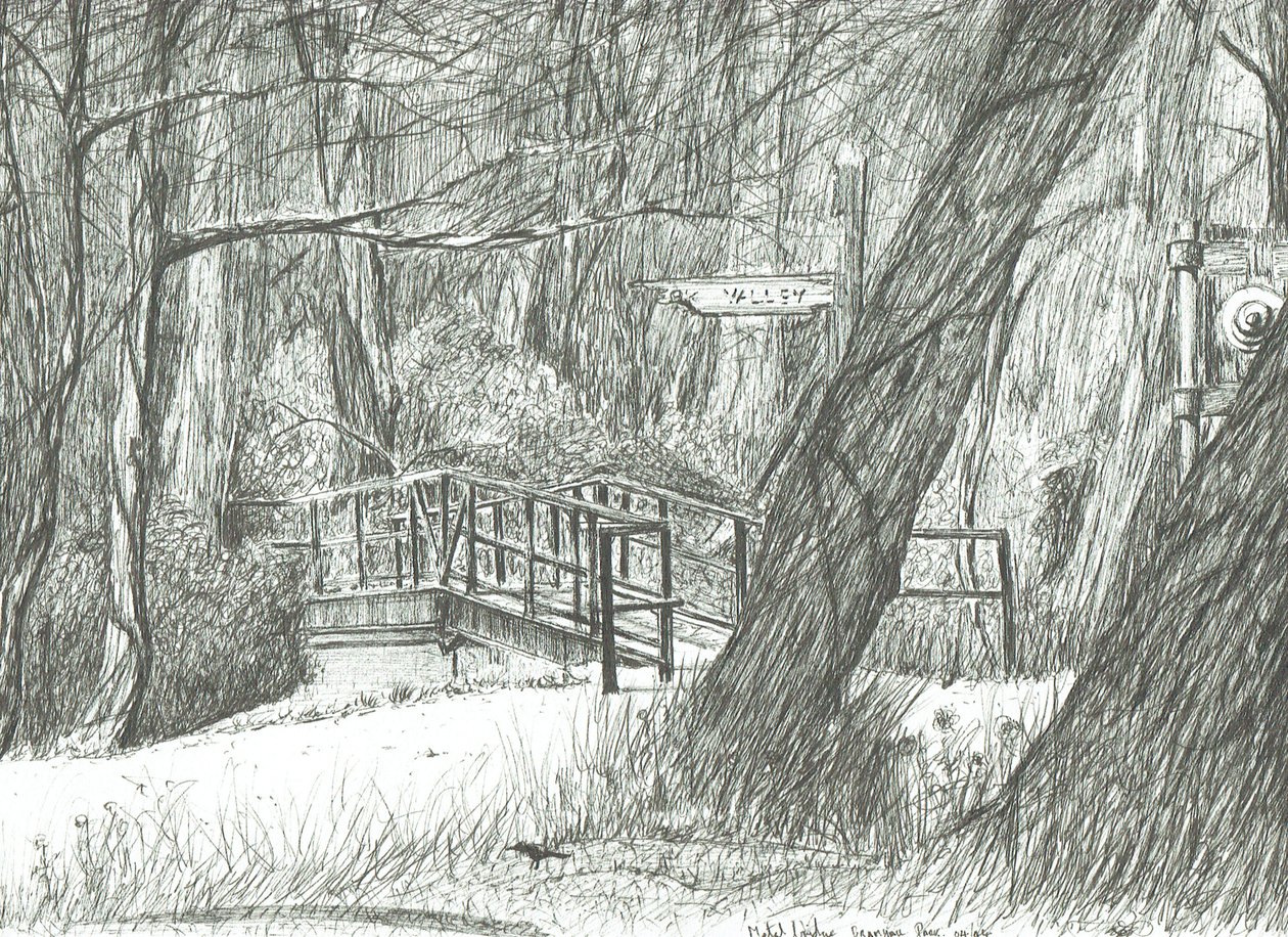 Le vieux pont métallique, parc de Bramhall, 2004 - Vincent Alexander Booth