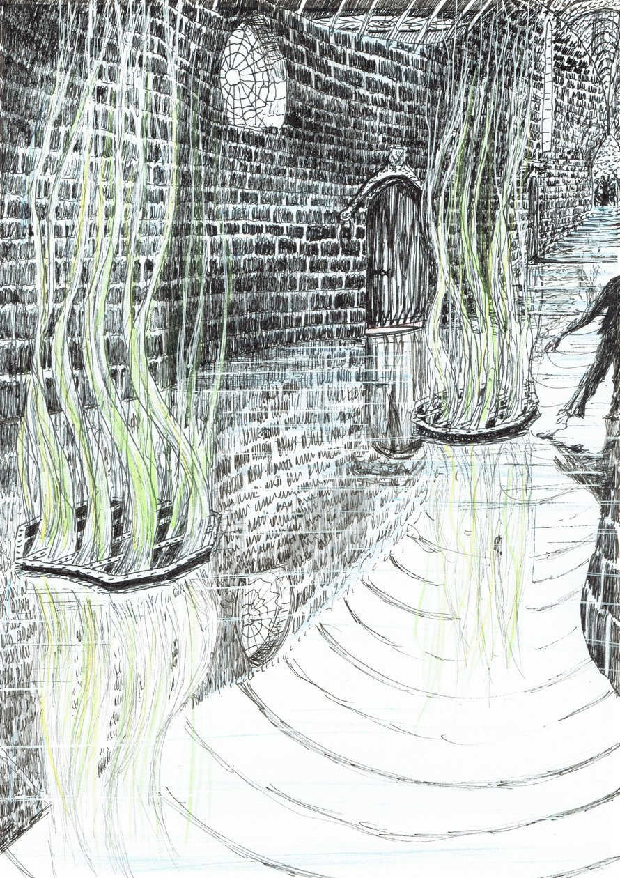page29, Le château dans la forêt de Findhorn, 2006 - Vincent Alexander Booth