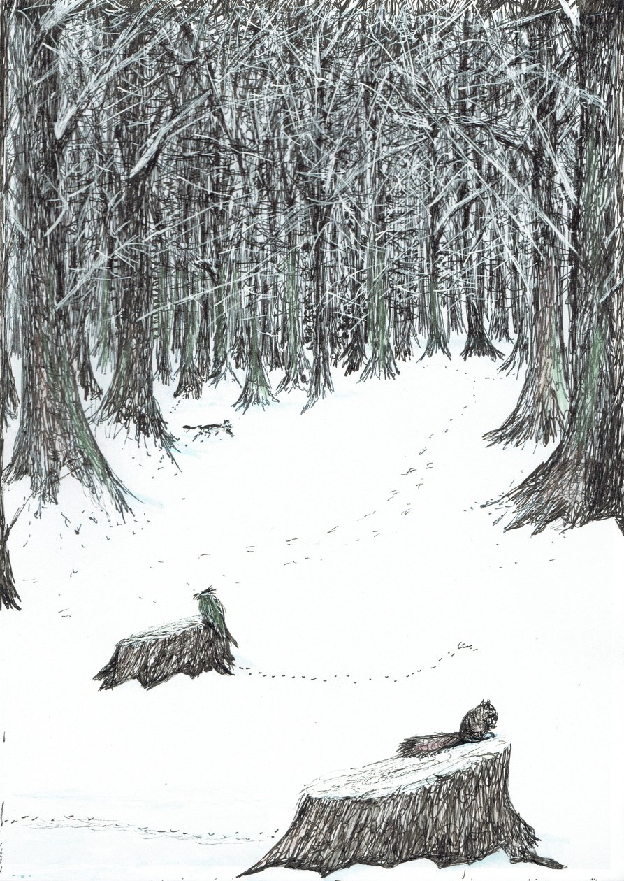 page5, Le Château dans la forêt de Findhorn, 2006 - Vincent Alexander Booth