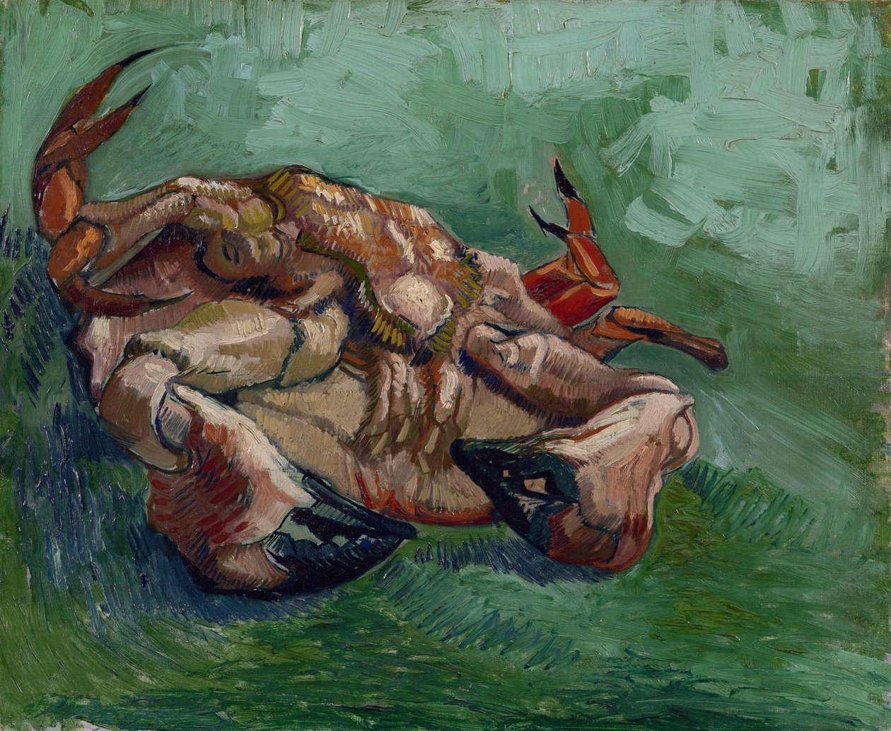 Un crabe sur le dos - Vincent van Gogh