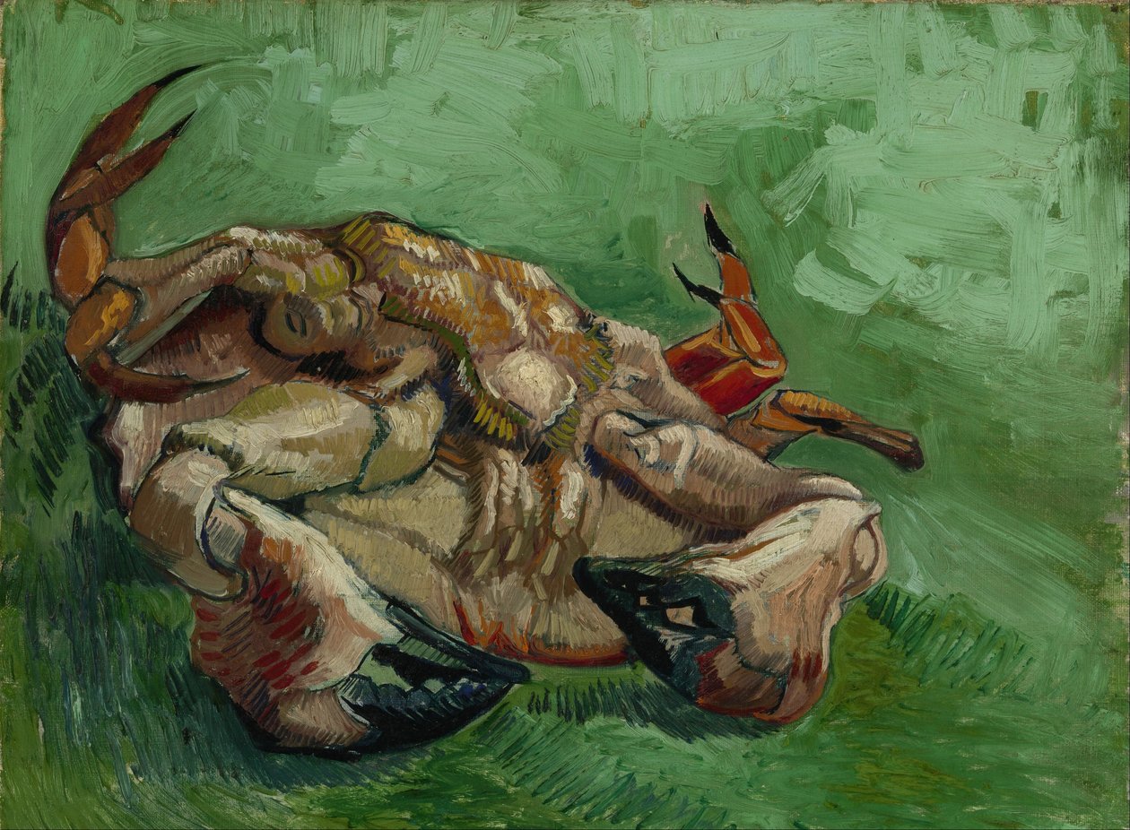 Un crabe sur le dos - Vincent van Gogh