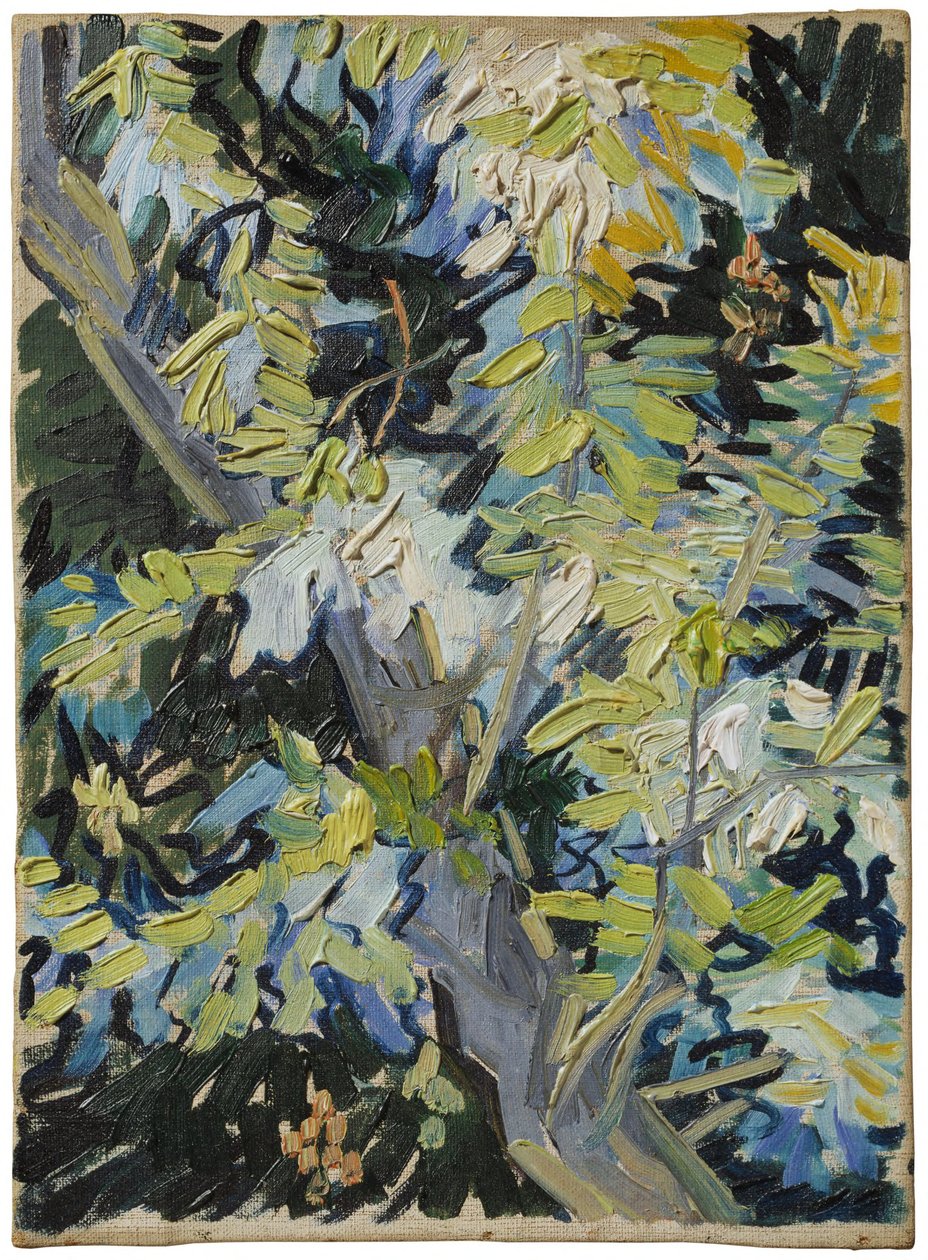 Acacia en fleurs - Vincent van Gogh