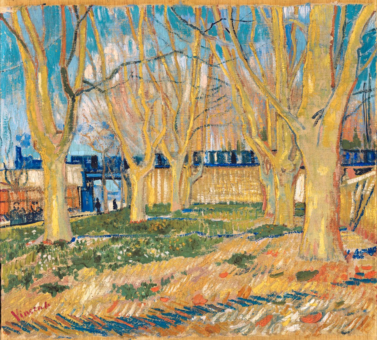 Allée de platanes près de la gare d