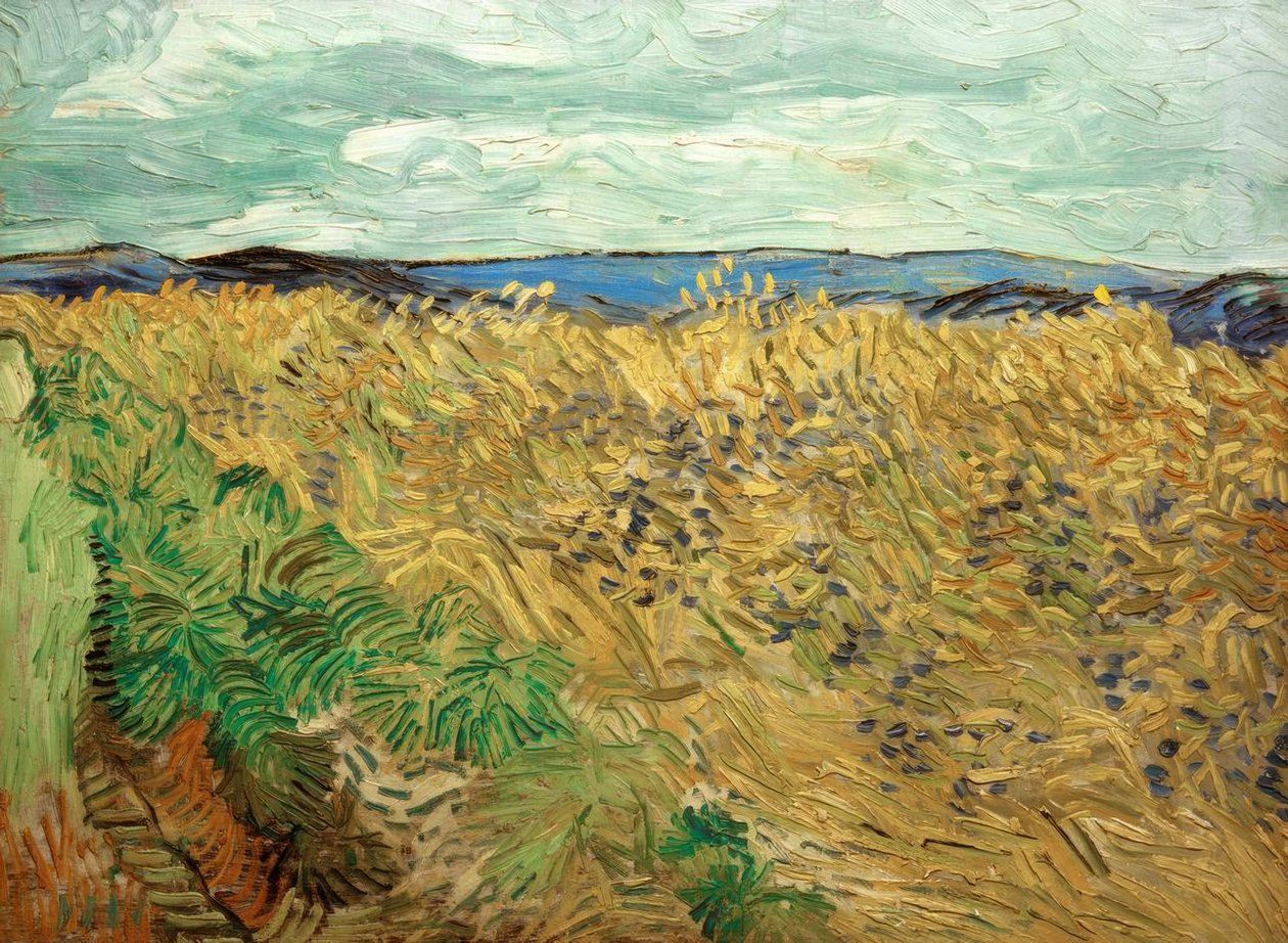 Champ, avec bleuets - Vincent van Gogh