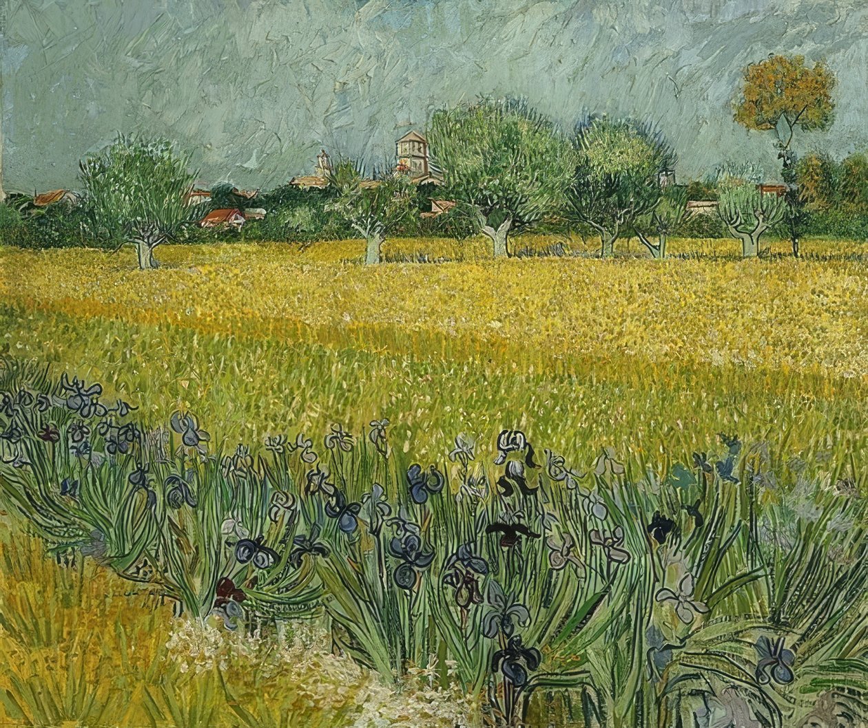 Champ avec des iris près d