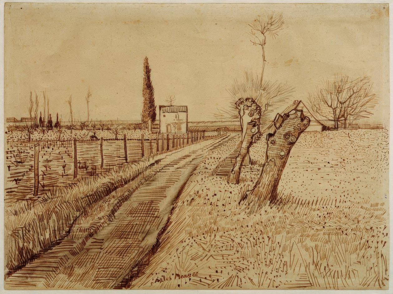 Paysage avec chemin et saules têtards - Vincent van Gogh
