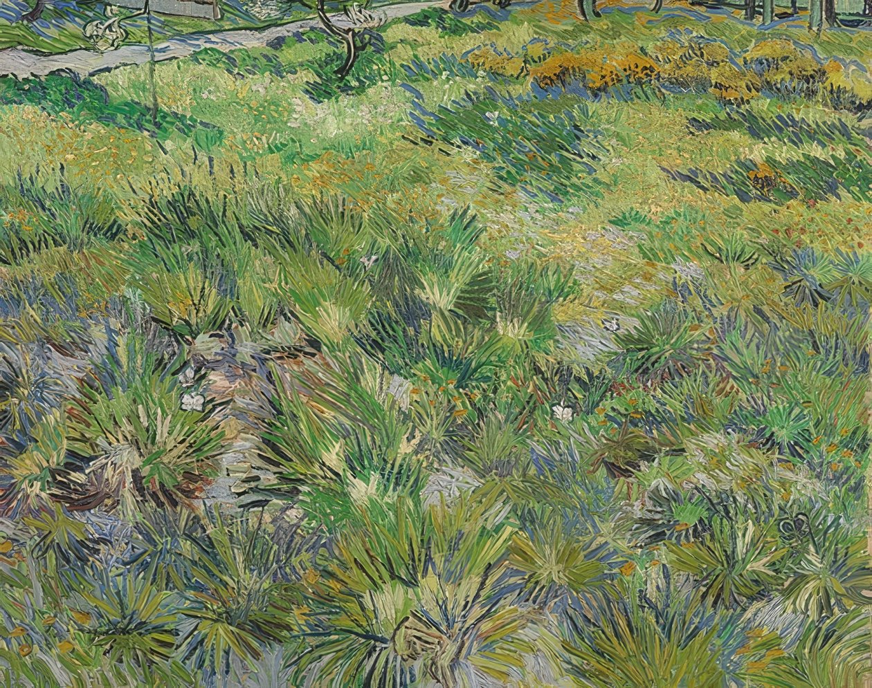 Herbe longue avec papillons. 1890 - Vincent van Gogh