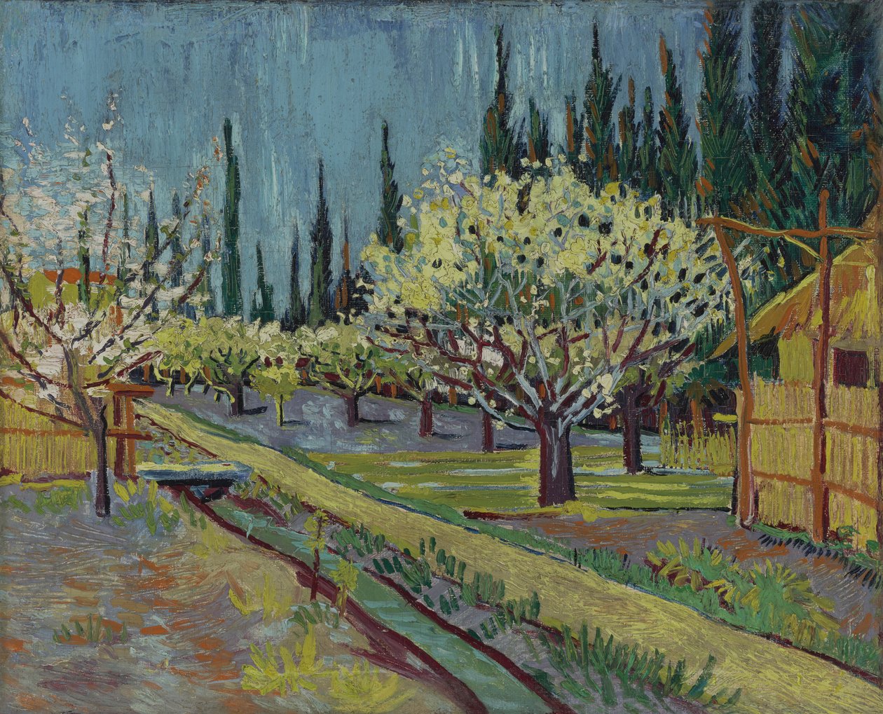 Verger bordé de cyprès - Vincent van Gogh