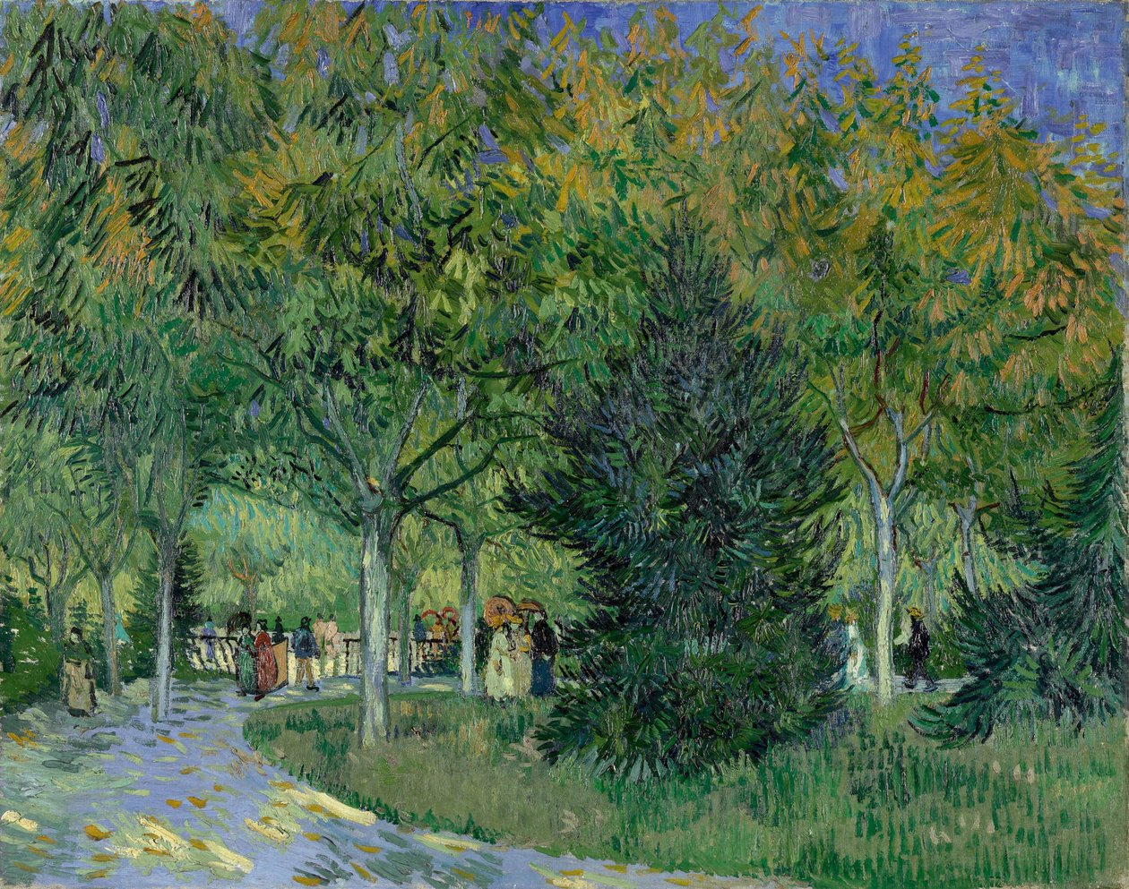 Sentier dans le parc d