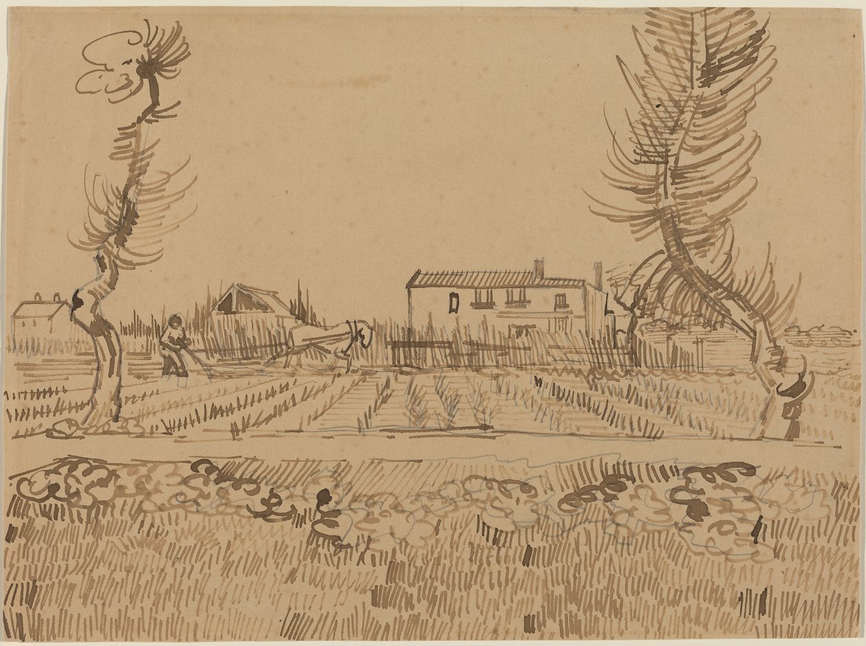 Laboureur dans les champs près d