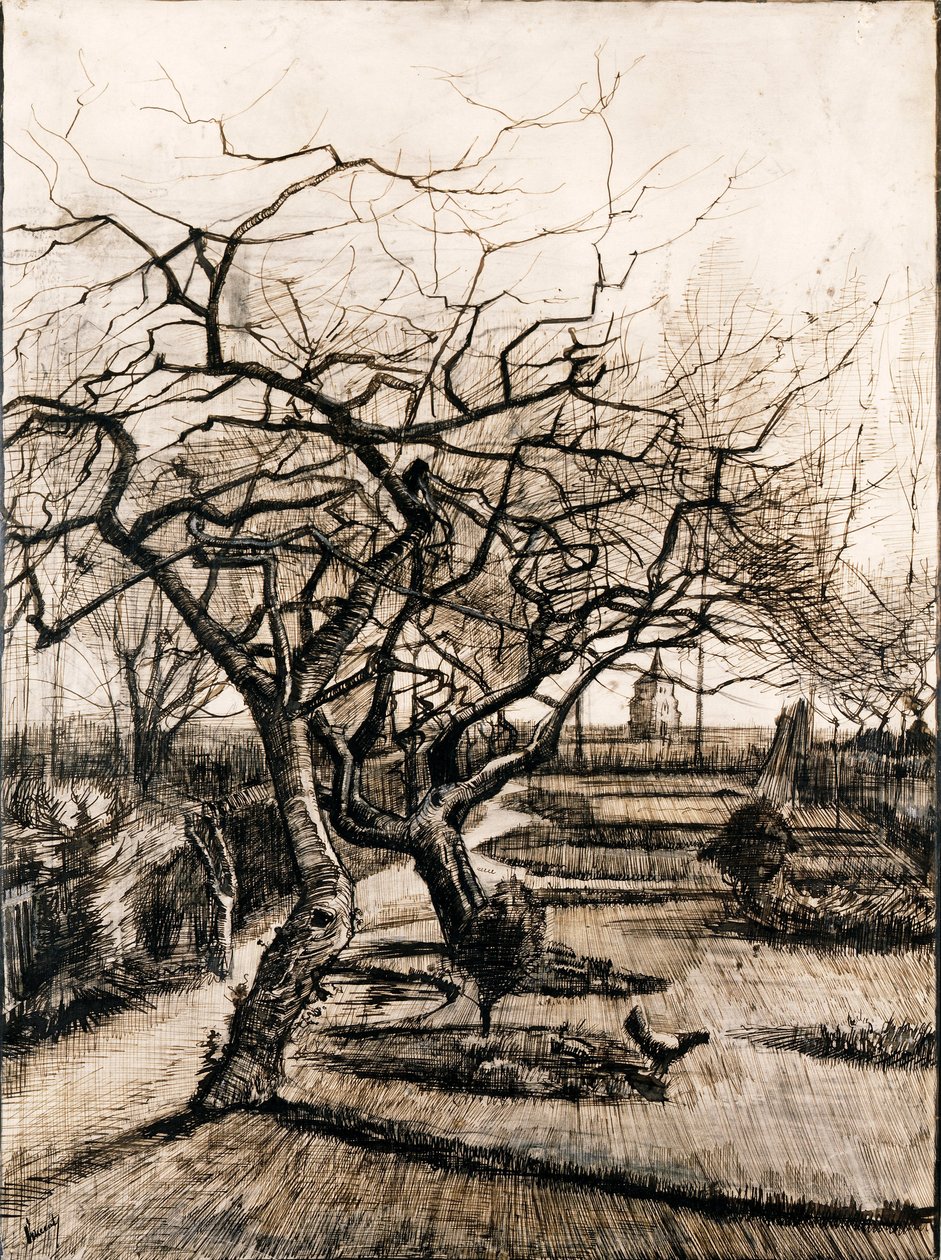 Le jardin du presbytère à Nuenen en hiver - Vincent van Gogh