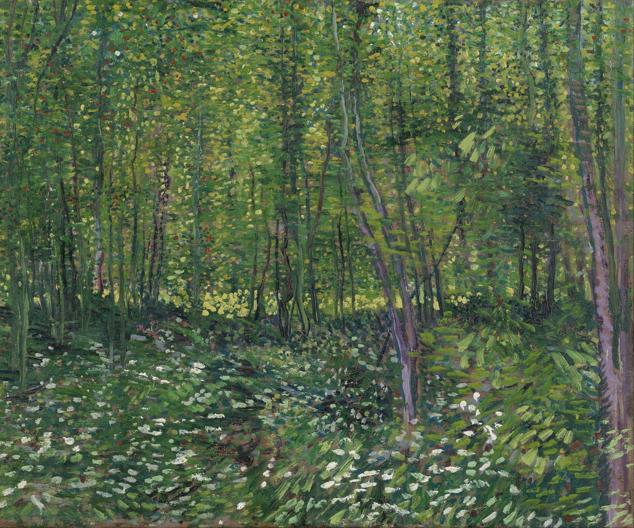 Arbres et sous-bois - Vincent van Gogh
