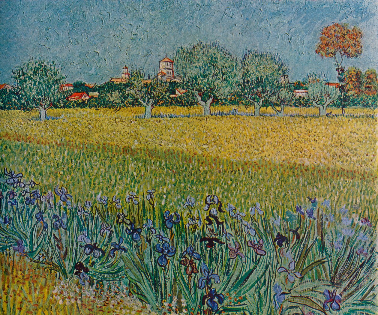 Vue d