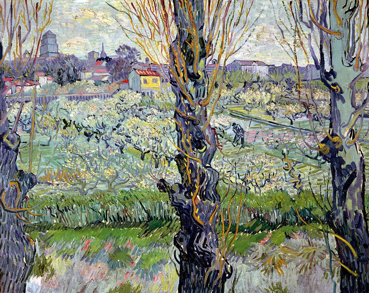 Vue d