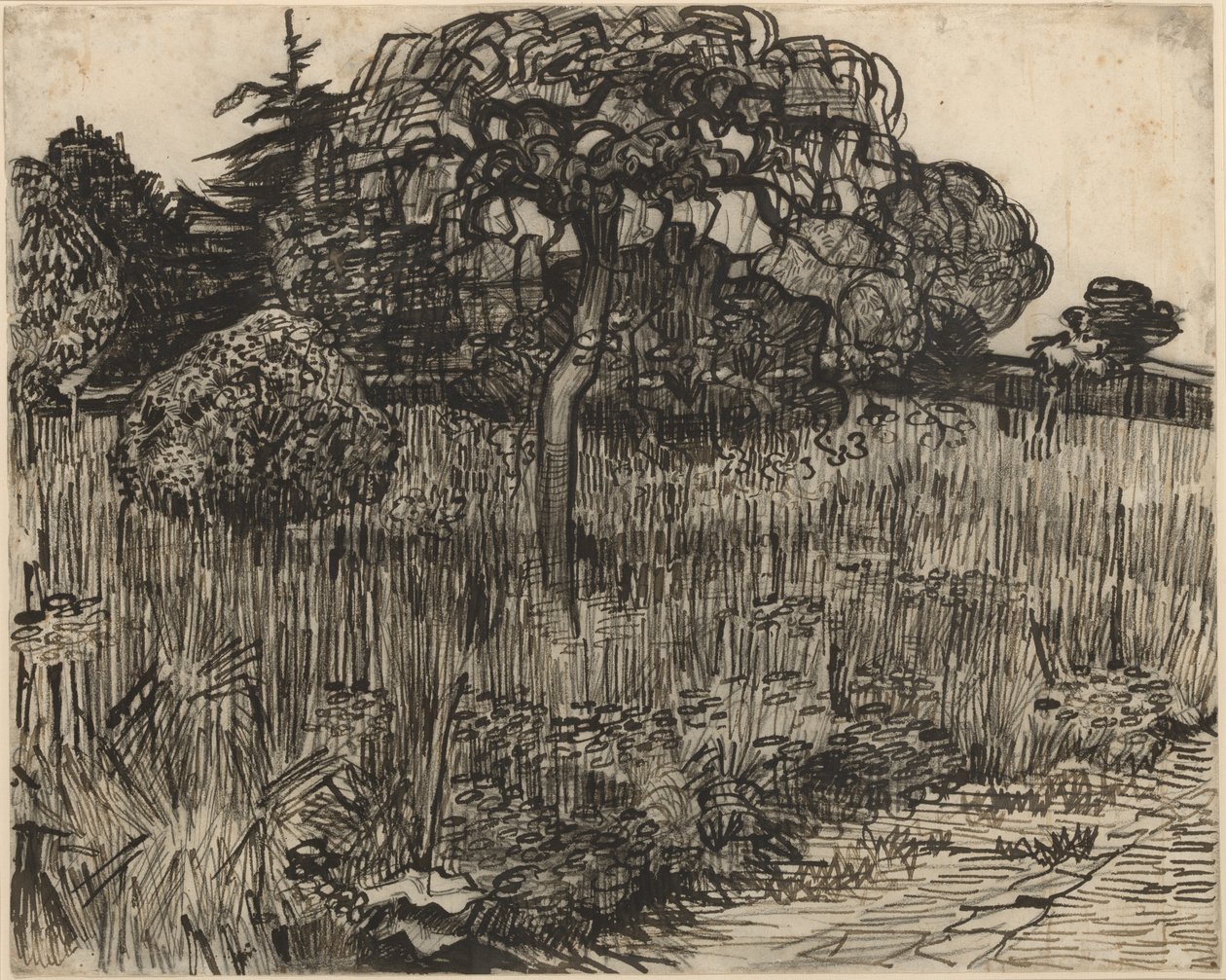Arbre pleureur - Vincent van Gogh