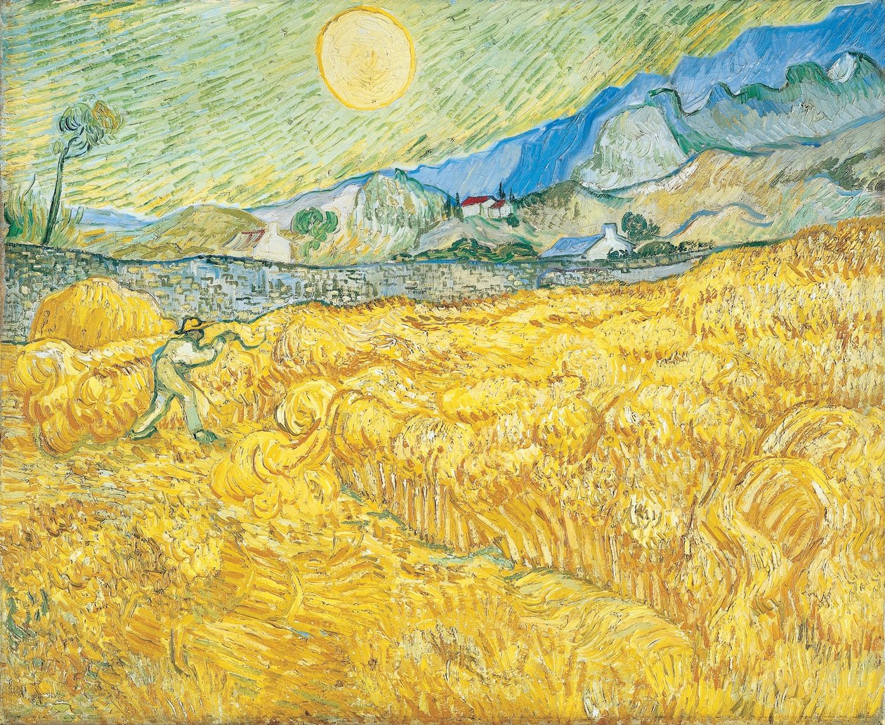 Champ de blé derrière l
