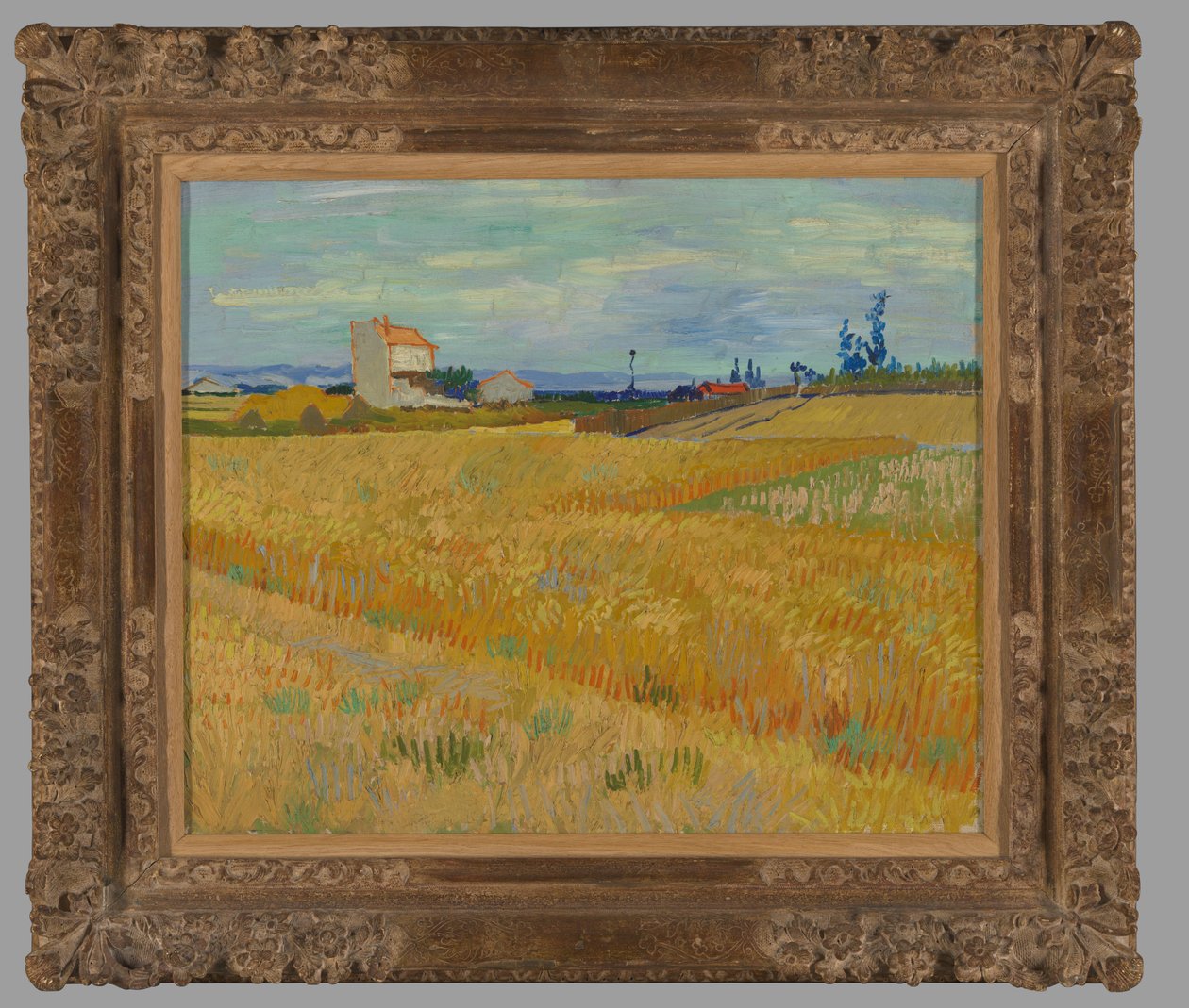 Champ de blé - Vincent van Gogh