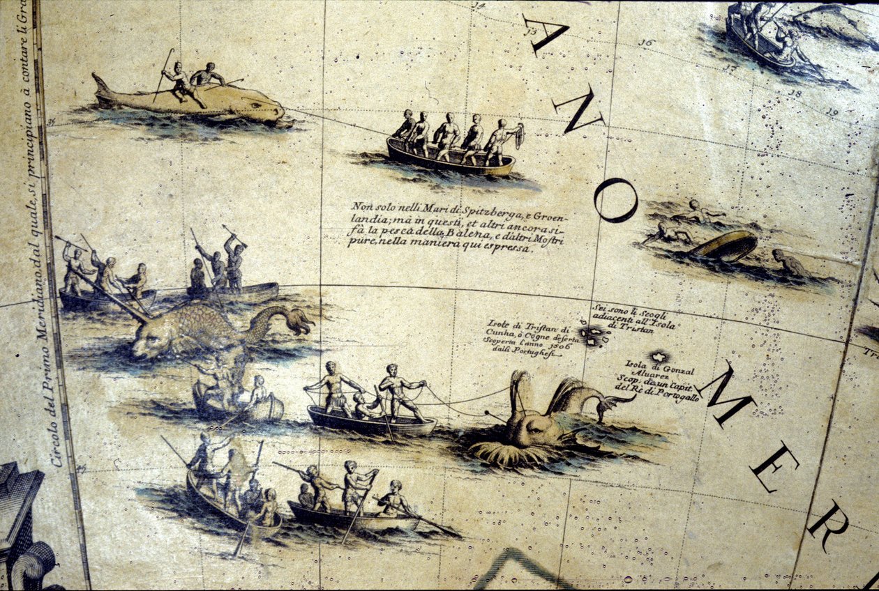 Chasse à la baleine dans le Pacifique. Détail d