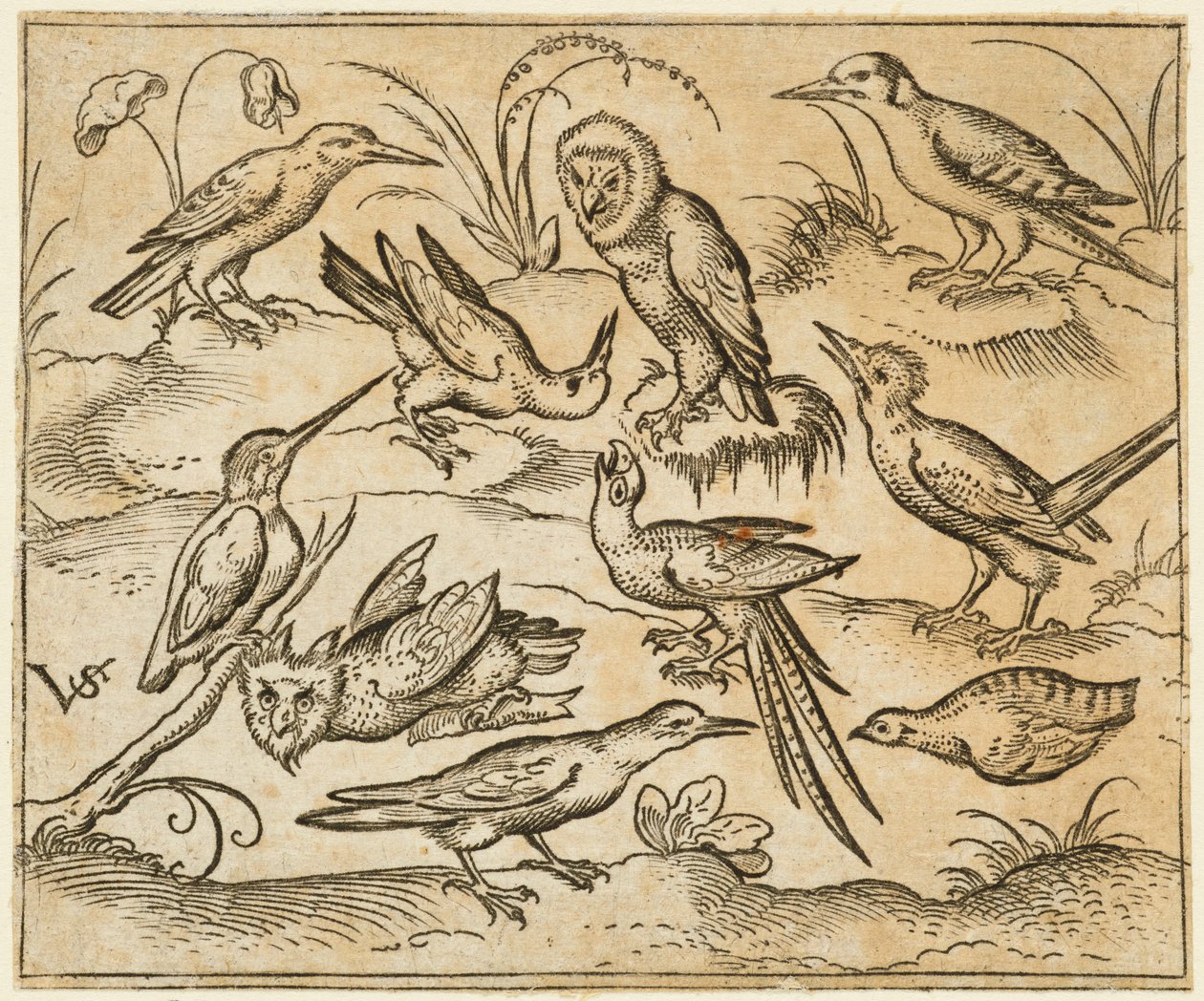 Dix oiseaux perchés sur des branches et des touffes d