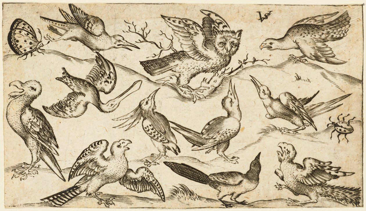 Onze oiseaux et deux insectes sur un sol minimal avec un hibou aux ailes déployées assis sur une branche au centre avec d