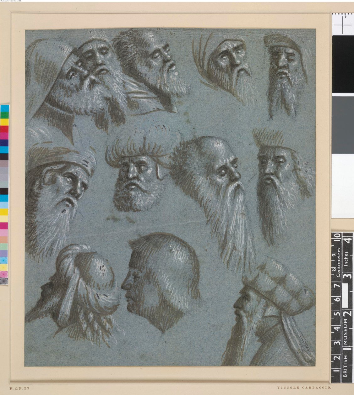 Attribué à Carpaccio - Douze têtes, la plupart des hommes avec des barbes, certains portant des turbans, 1892,0411.2 - Vittore Carpaccio
