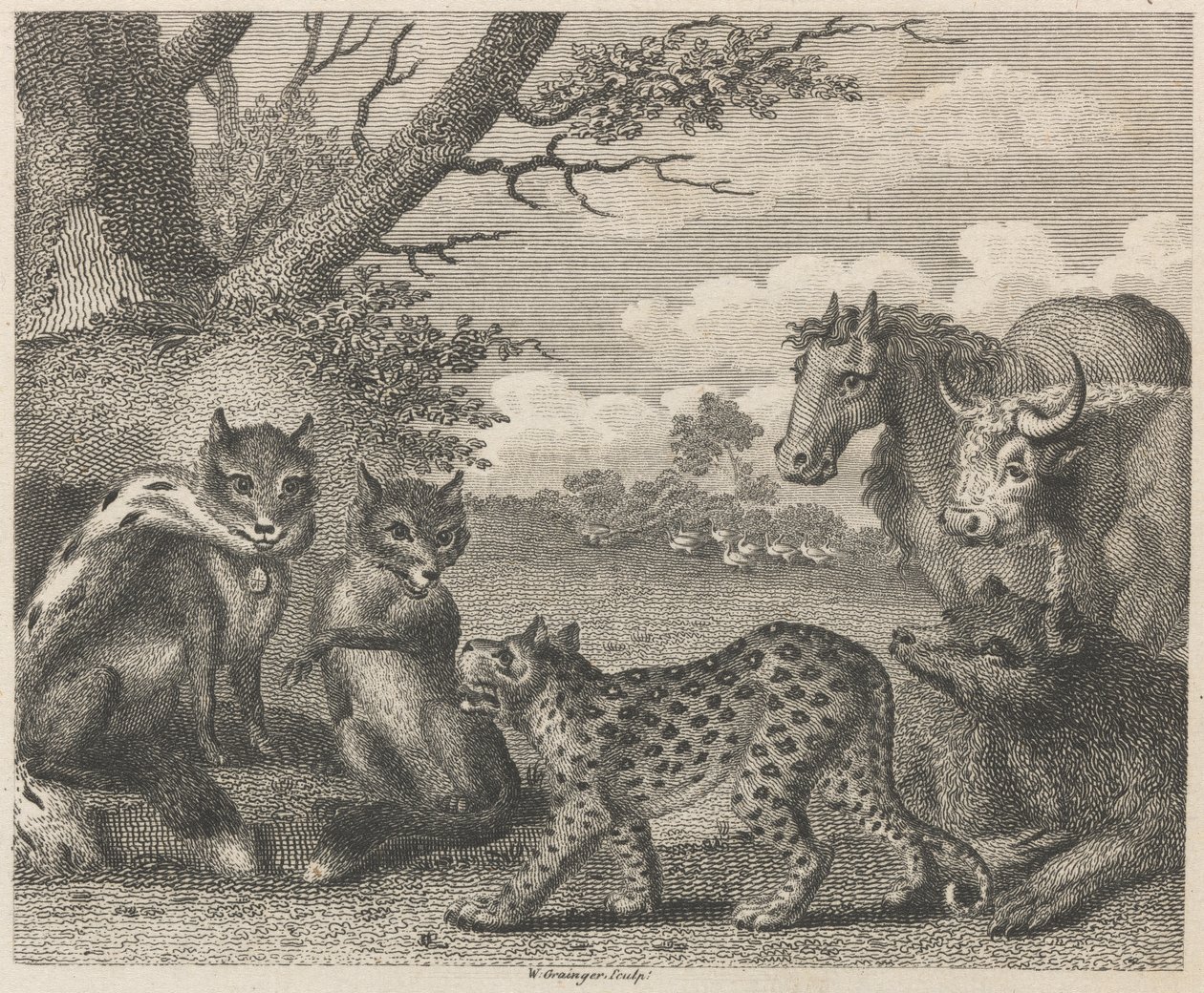 Le lion, le renard et les oies - W. Grainger