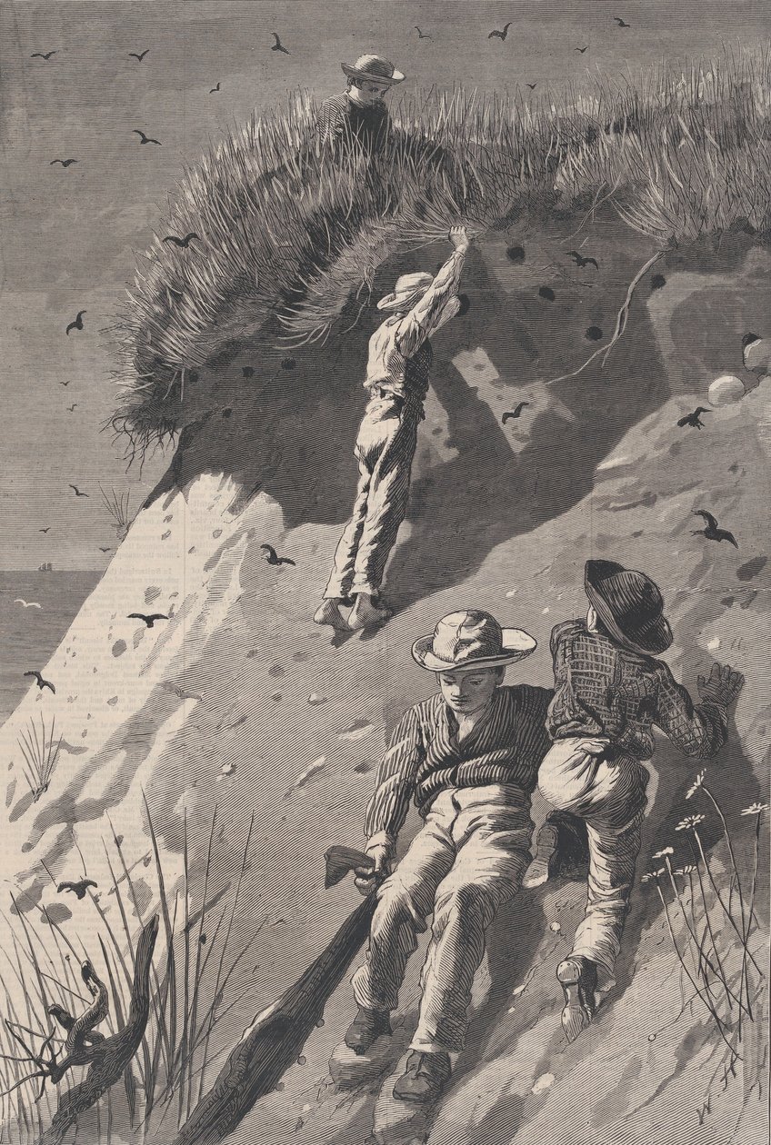 Raid sur une Colonie d