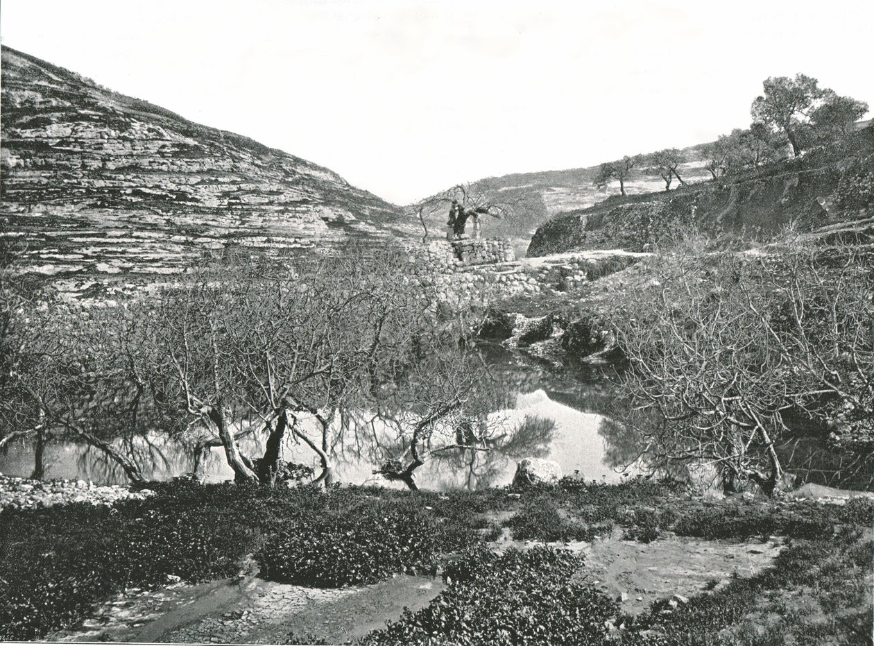 La piscine de Siloé, Jérusalem, Palestine, 1895 - W and S Ltd
