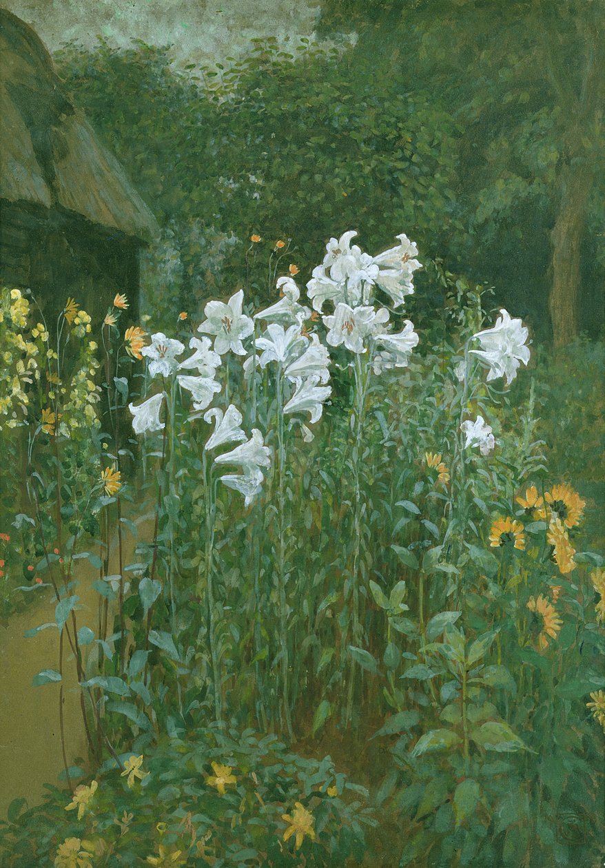 Lys de la Madone dans un jardin - Walter Crane
