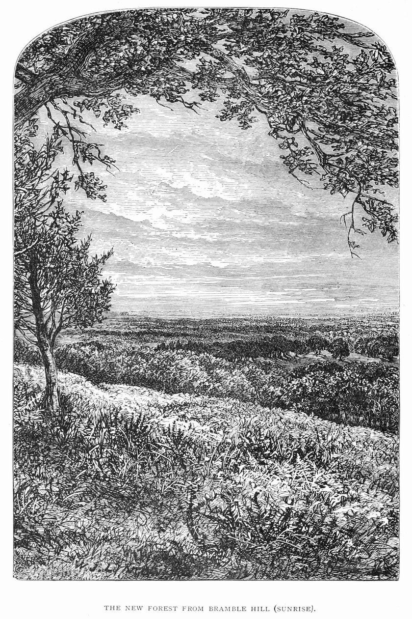La Nouvelle Forêt, son histoire et ses paysages - Walter Crane