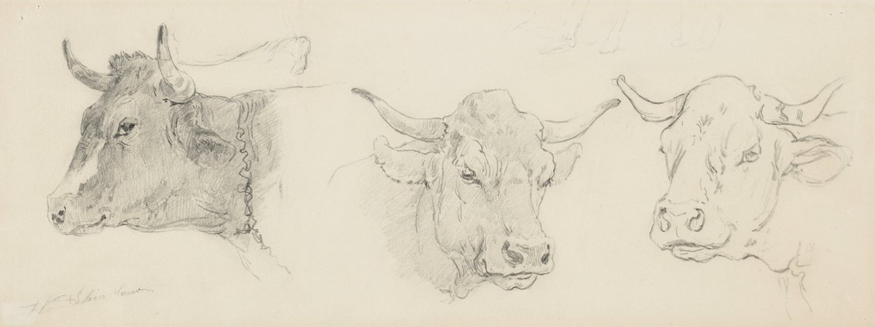 Étude de bétail pour la tonte des moutons, 1872-77 - Walter Shirlaw