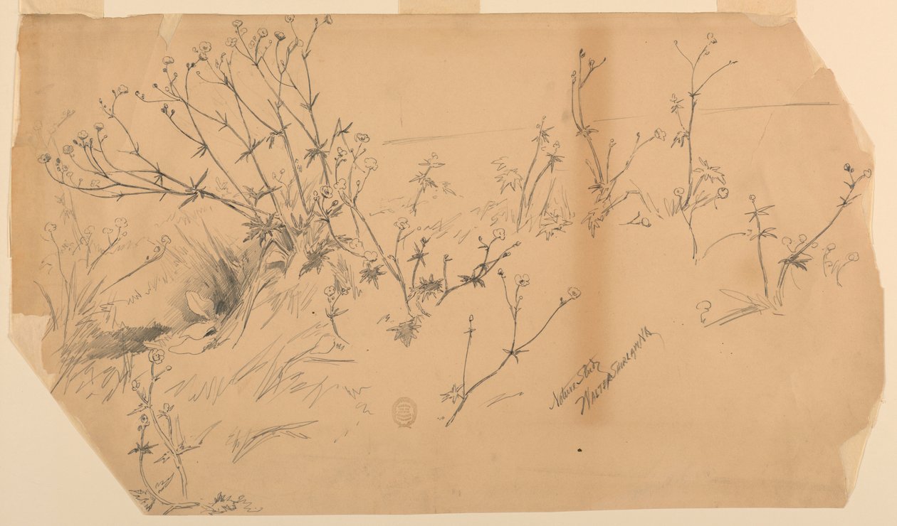 Étude de la nature - Walter Shirlaw