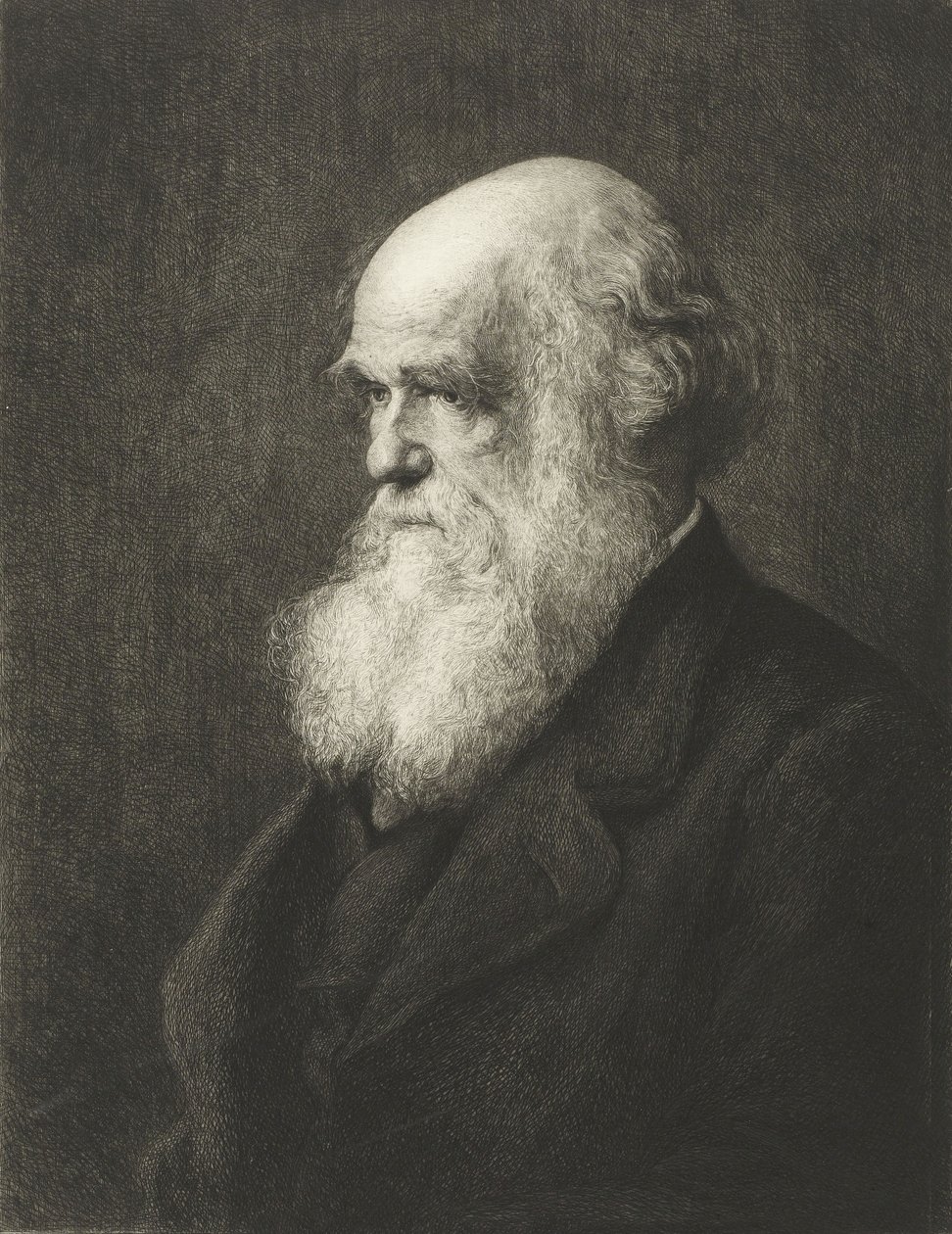 Charles Robert Darwin - Walter William (after) Ouless